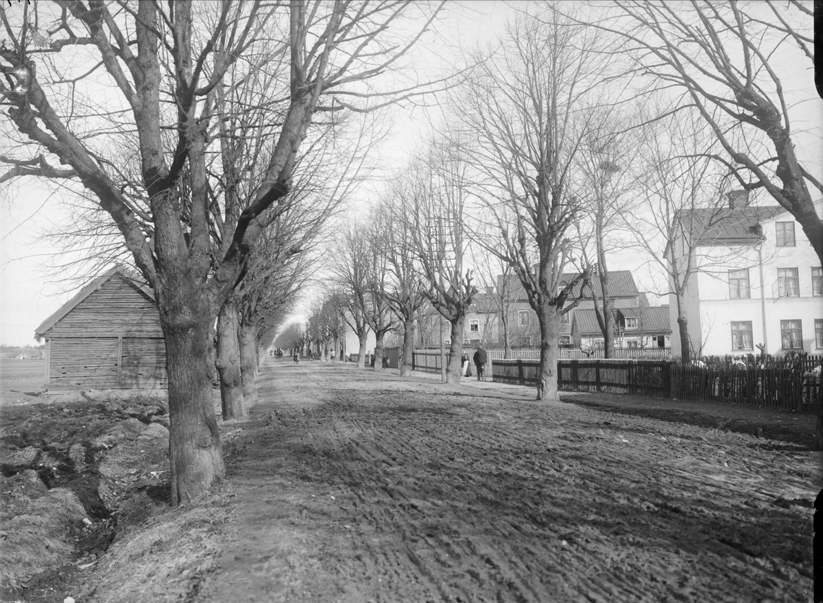 Alfred Dahlgren, Vaksalagatan österut, Kvarngärdet till vänster och Fålhagen till höger, Uppsala 1908