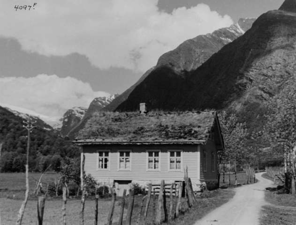 Anders Beer Wilse, -6544