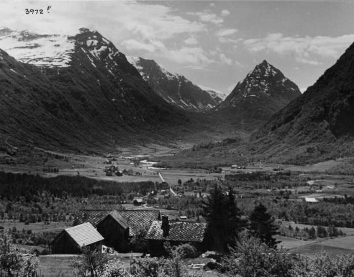Anders Beer Wilse, -6943