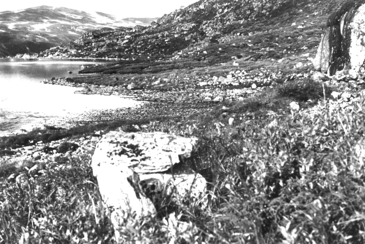 Anna Grostøl, Skjåk, Oppland 1941. Oversiktsbilde fra Sota.