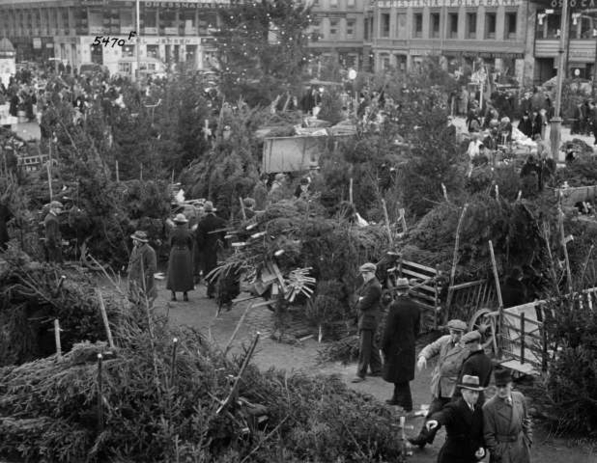 Anders Beer Wilse, Juletresalg, Youngstorget, Oslo, 1936