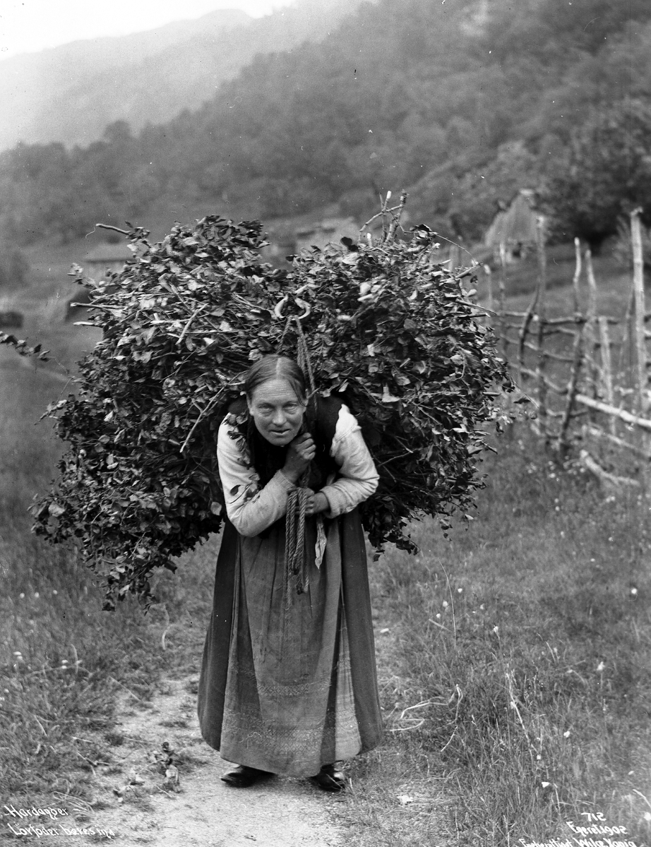 Anders Beer Wilse, Prot: Løvfor bæres ind Juli 1903