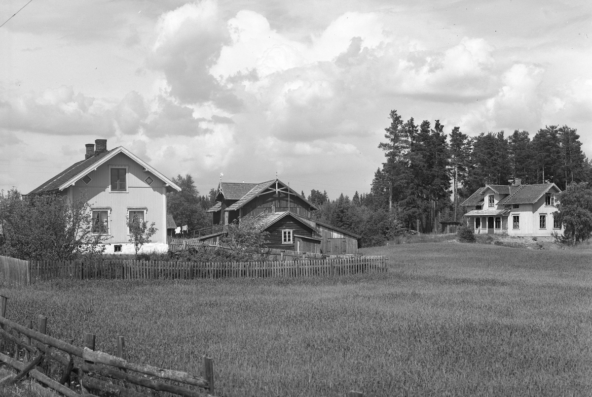 Anno Domkirkeodden, EKSTR: GARDSTUN, FREDHEIM. Se Løtenboka, bind 3. Bygdeboka fra 1955, side 278