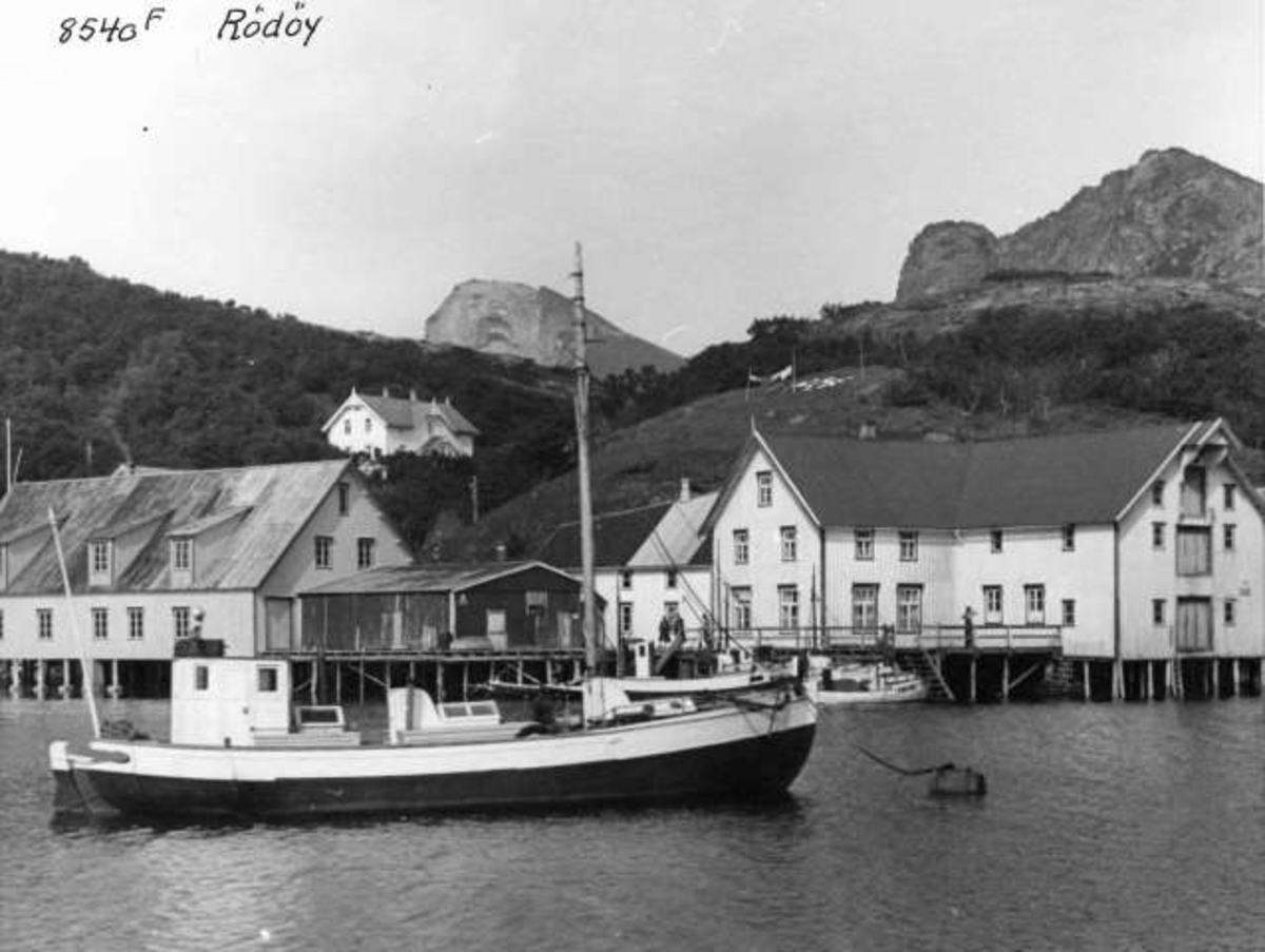 Anders Beer Wilse, -5862