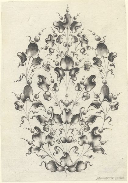 Moncornet, Balthasar, (approximately 1600-1668), (printmaker), Stylized flowers and leafs: Stylized leafs