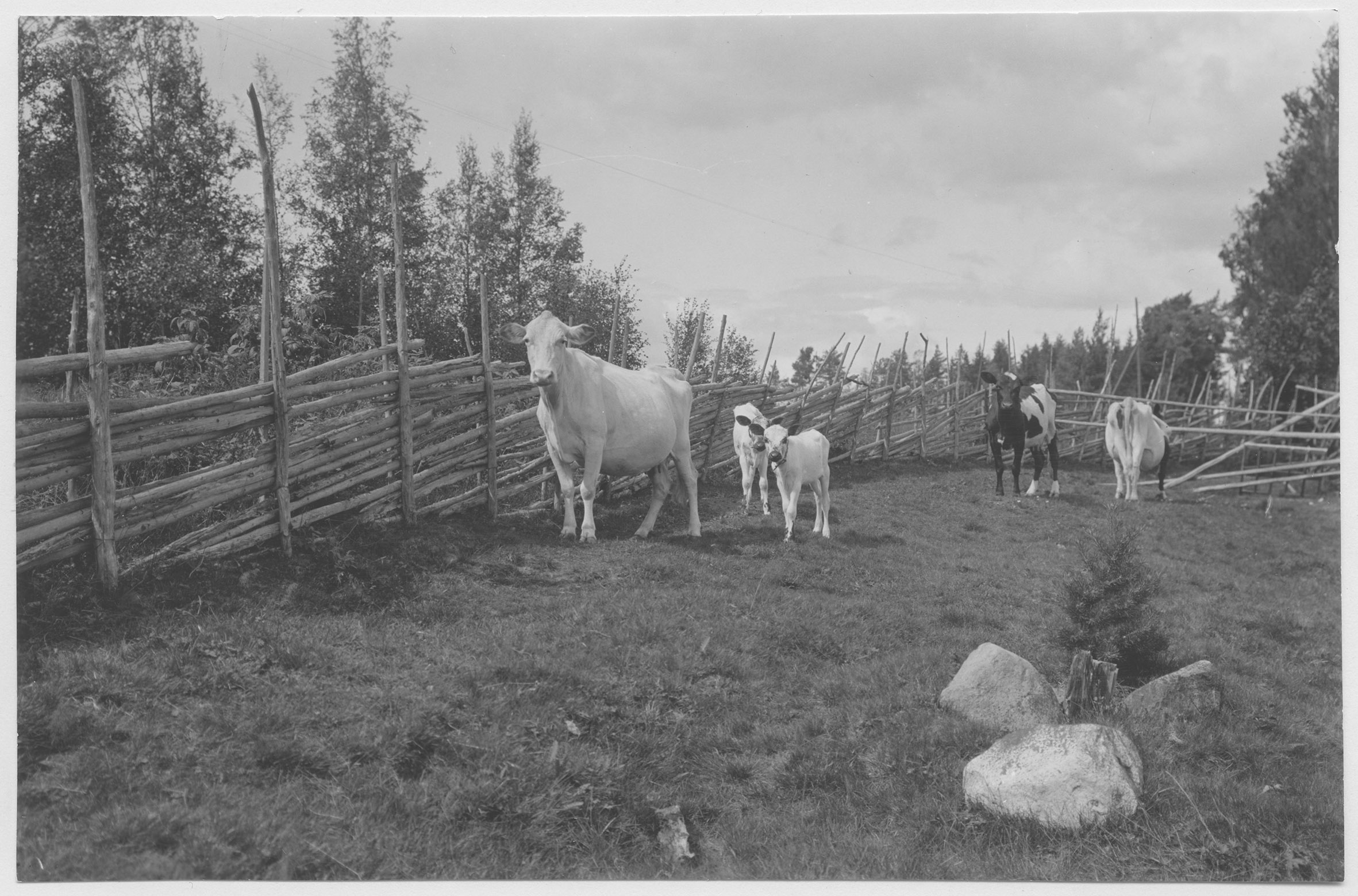 Mårten Sjöbeck, Gesunda by