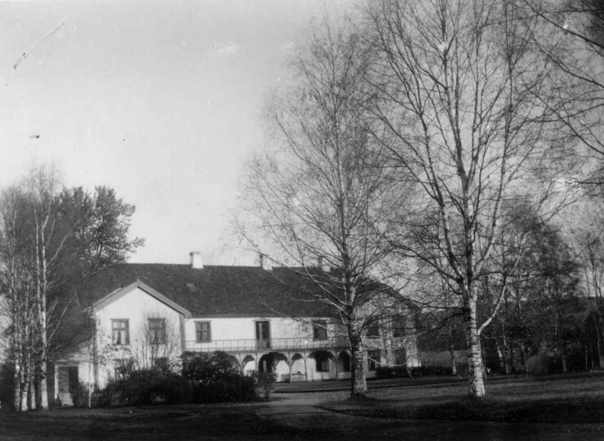 Fredrik Emil Faye, Dal gård, Ullensaker. Hovedbygningen med inngangsparti. Fra serie fotografert av kammerherre Fredrik Emil Faye (1844-1903), gårdens eier.