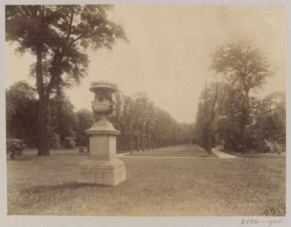 Atget, Jean-Eugène-Auguste, Park in the Austrian Embassy, Paris, France