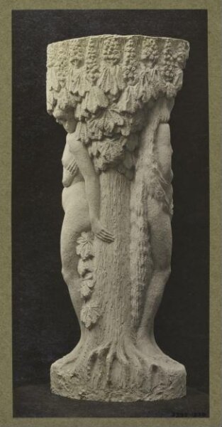 unknown, Photograph
