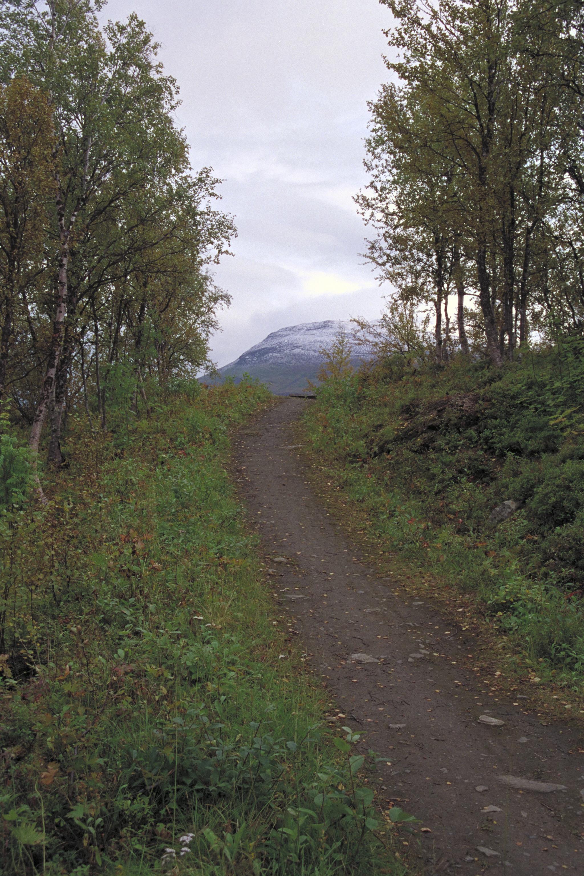 Bengt A Lundberg, Tornehamns kyrkogård