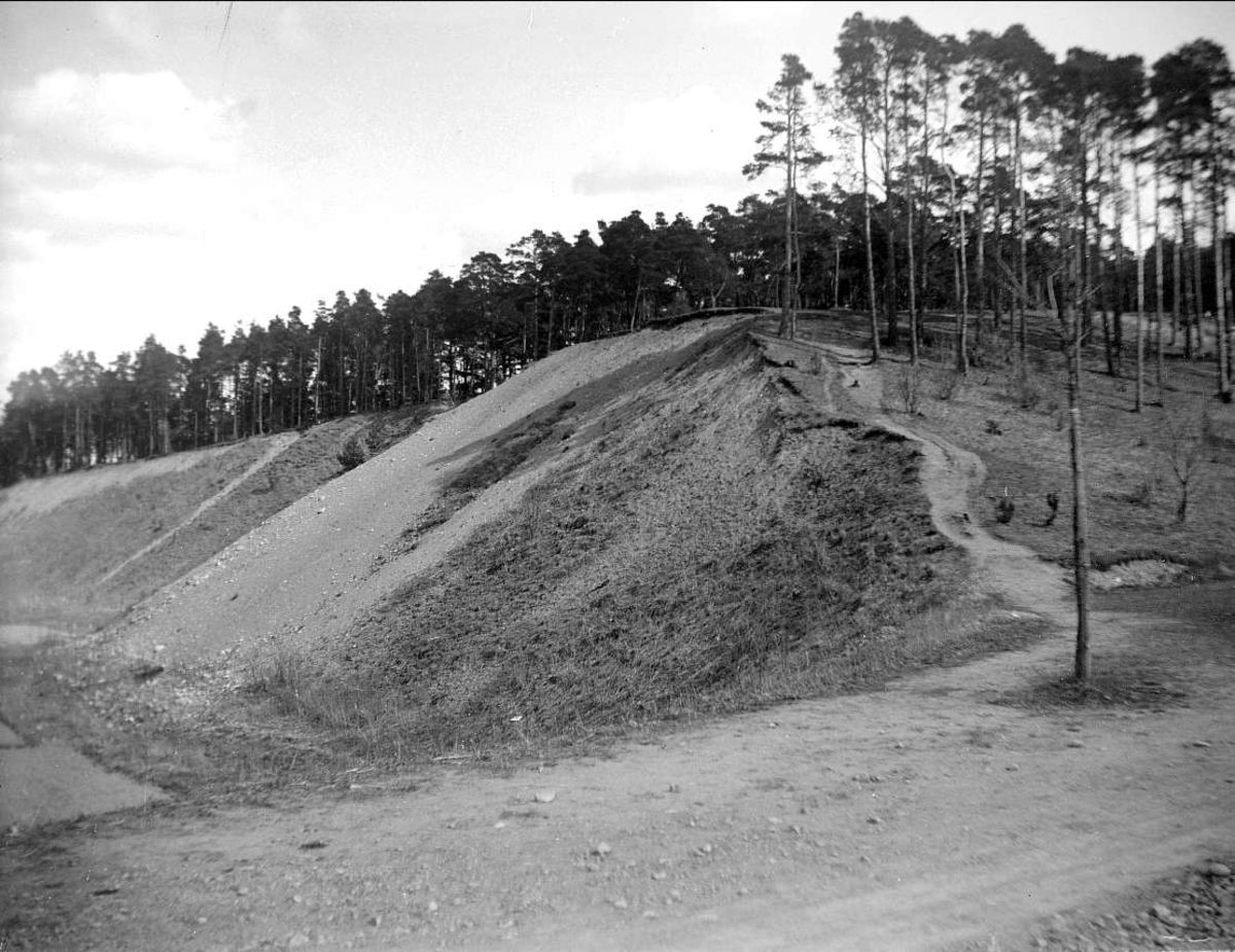 August Fredrik Schagerström, "Upsala-åsen vid Sandgropen norr om "Sturen"", stadsdelen Kronåsen, Uppsala 1925