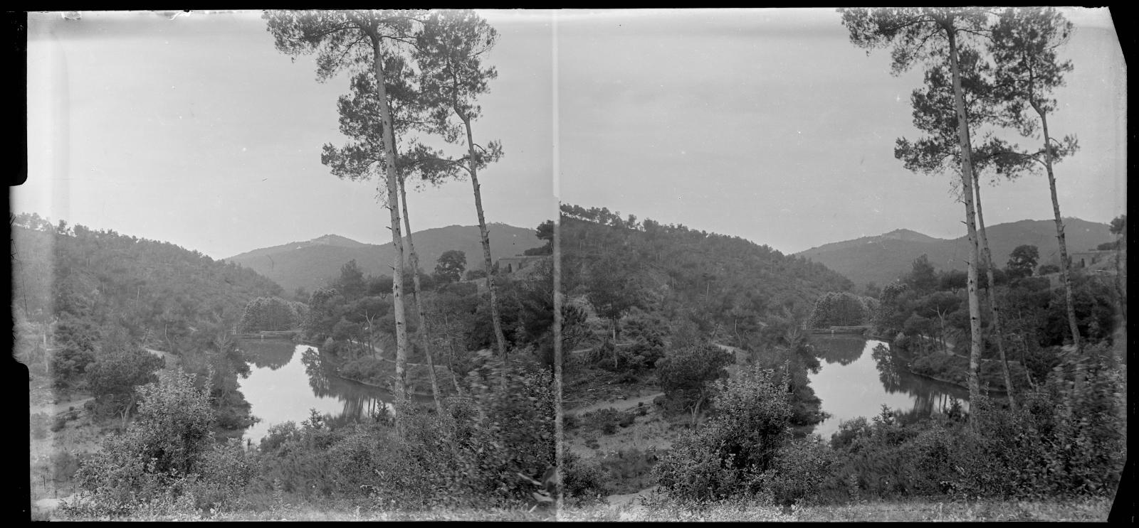 Desconegut, [Vallvidrera Marsh]
