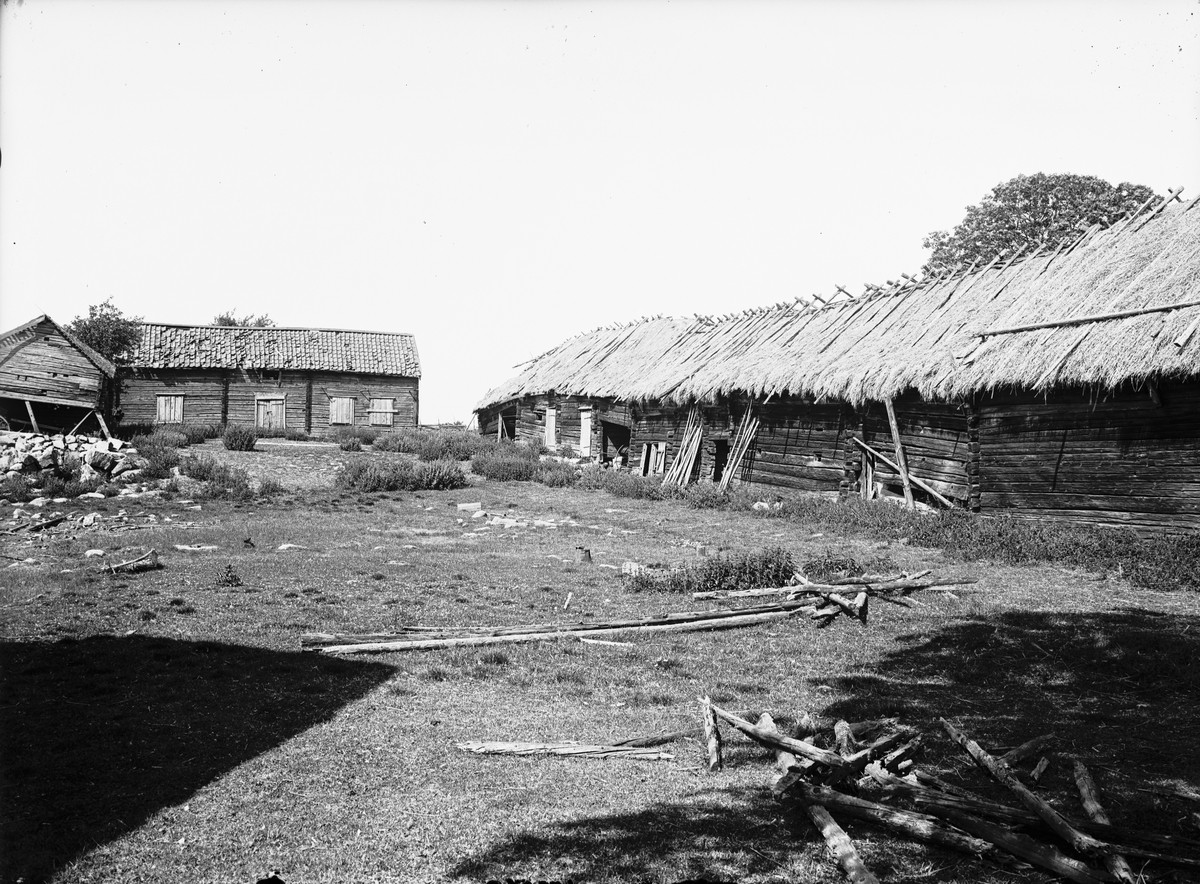 Paul Sandberg, Gårdsmiljö - Ågren, Tjocksta, Danmarks socken, Uppland 1920-tal