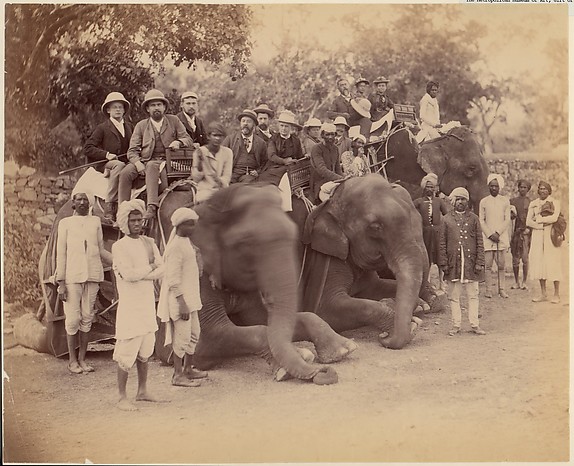 Unknown, Elephant Group