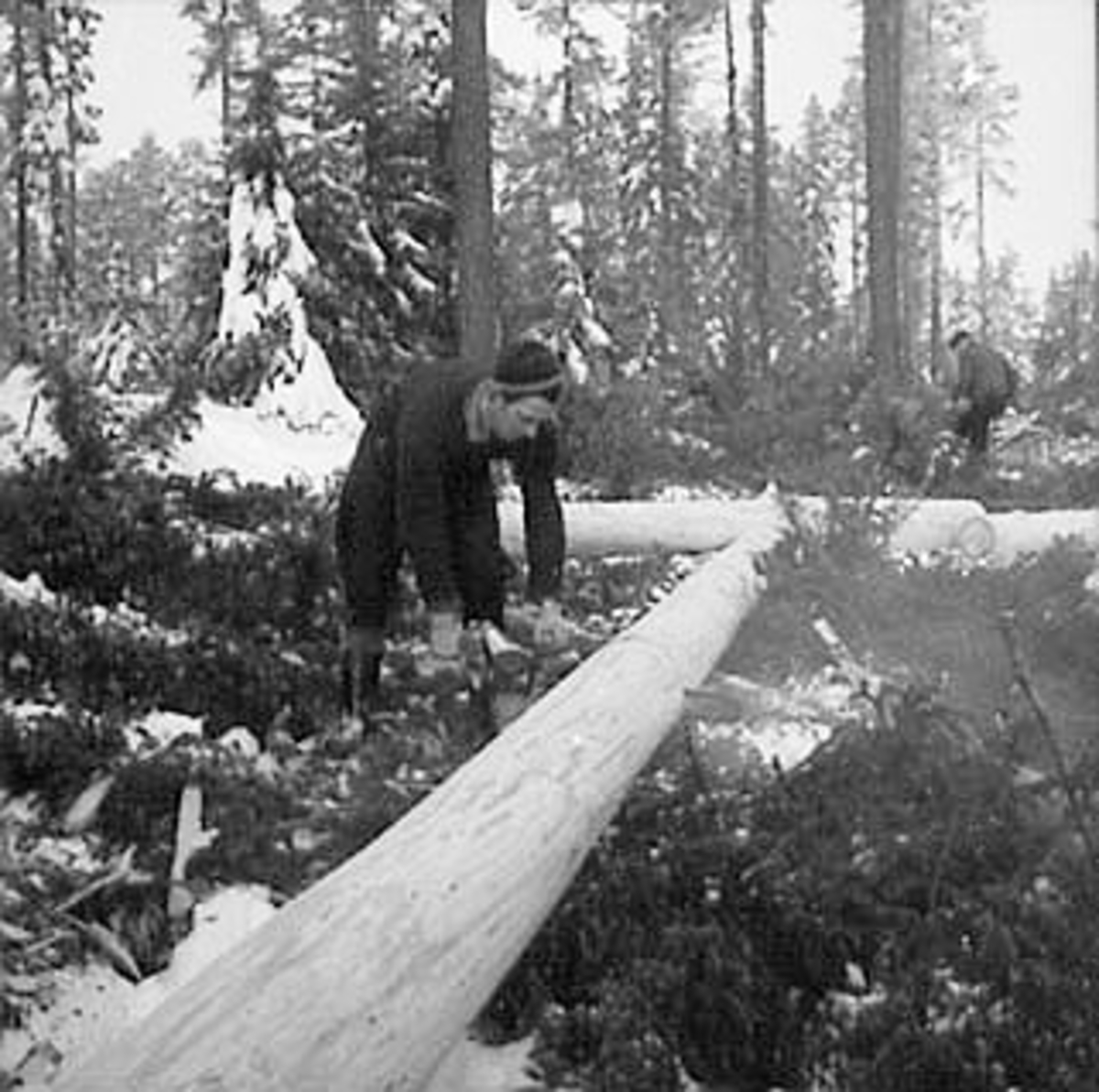 Anno Domkirkeodden, SKOGBRUK, TØMMERMÅLING, 2 TØMMERHUGGERE, VINTER, SNEKKERSVEDRIFTA, PRESTMARKA, STANGE
