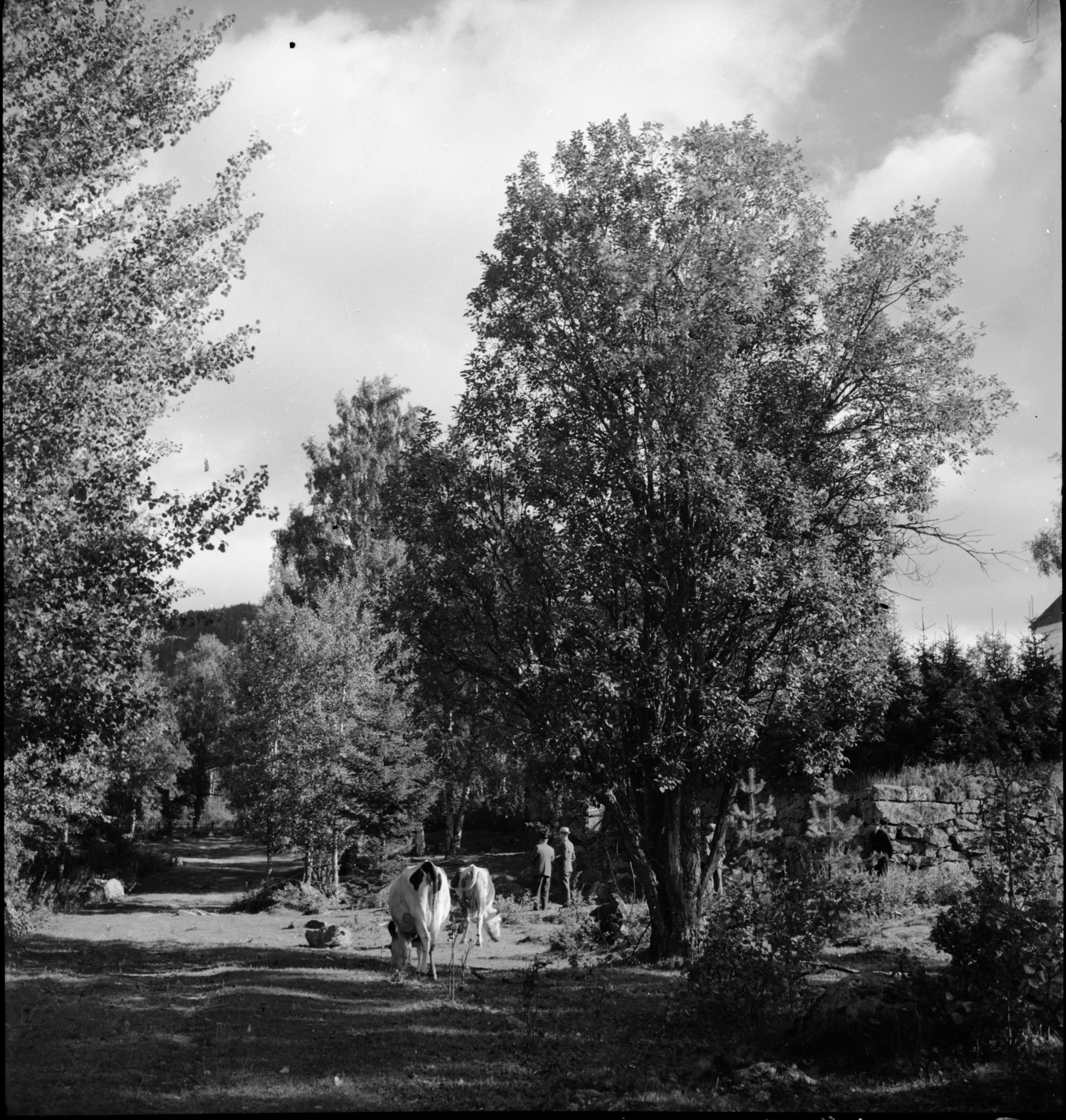 Iwar Anderson, Borgsjö kyrka