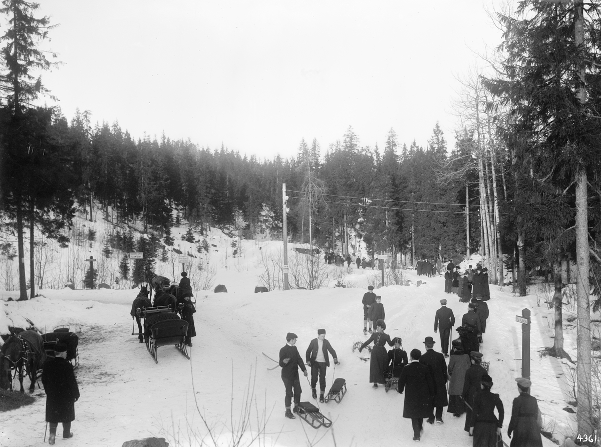 Hermann Christian Neupert, Aking. Hest og slede.