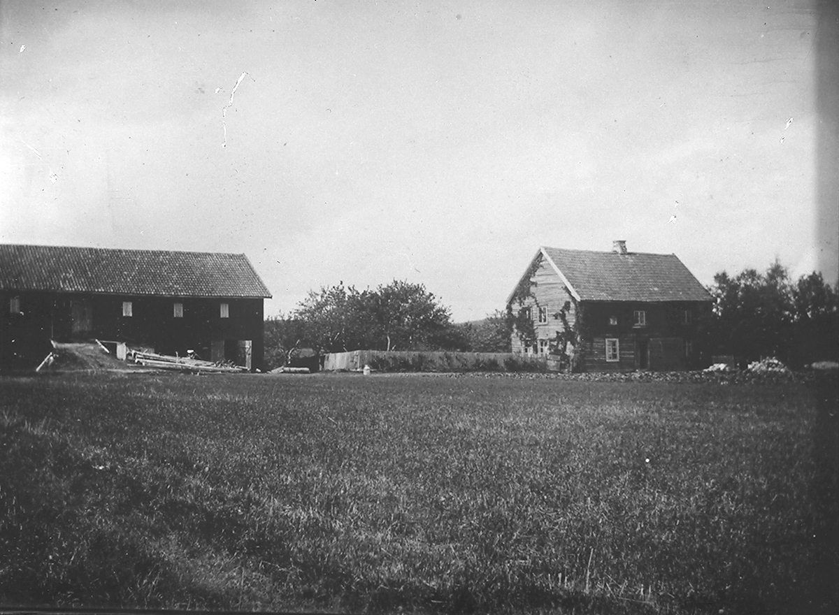 Anders Beer Wilse, Konv: Sunman