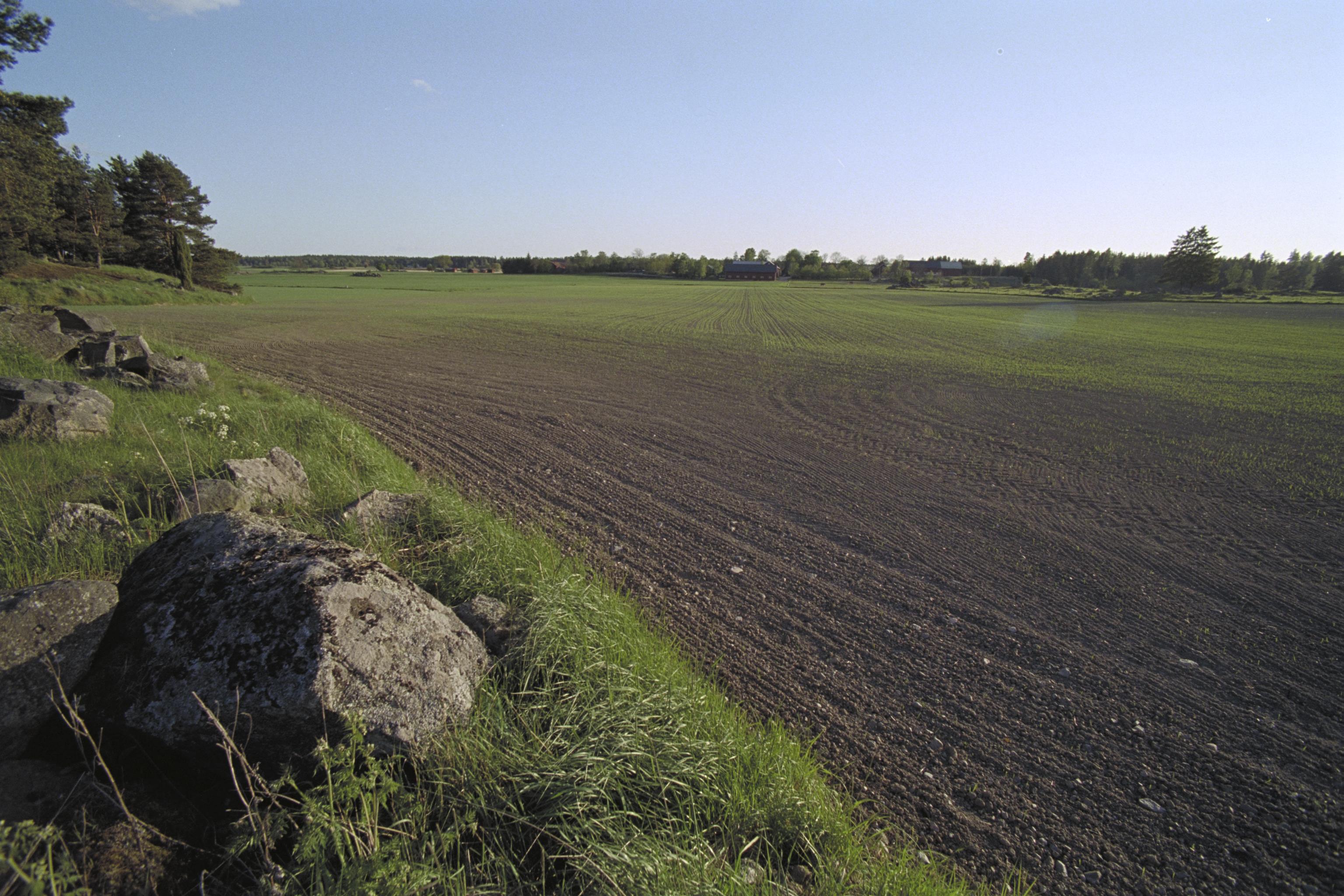 Bengt A Lundberg, Rickeby