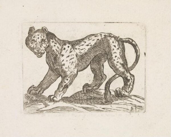 Unknown, Print