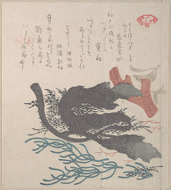 Kubo Shunman, Various Seaweed