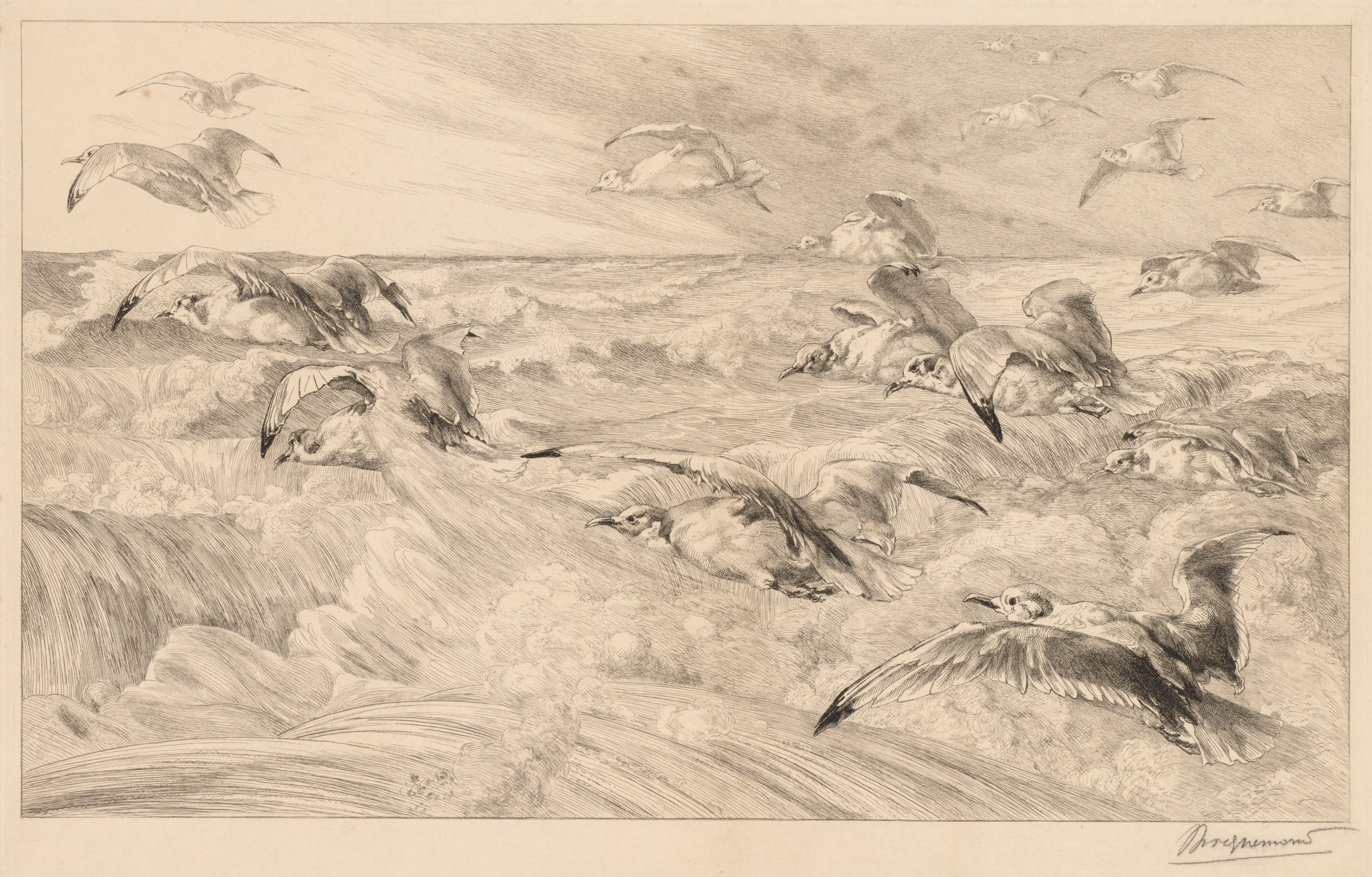 Félix Bracquemond, Seagulls (Les Mouettes)