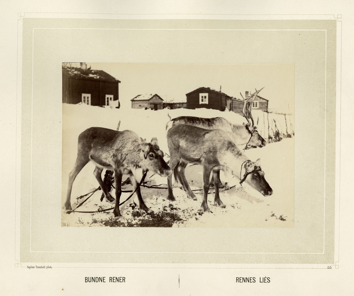 Sophus Tromholt, Billeder fra Lappernes Land/Tableaux du Pays des Lapons