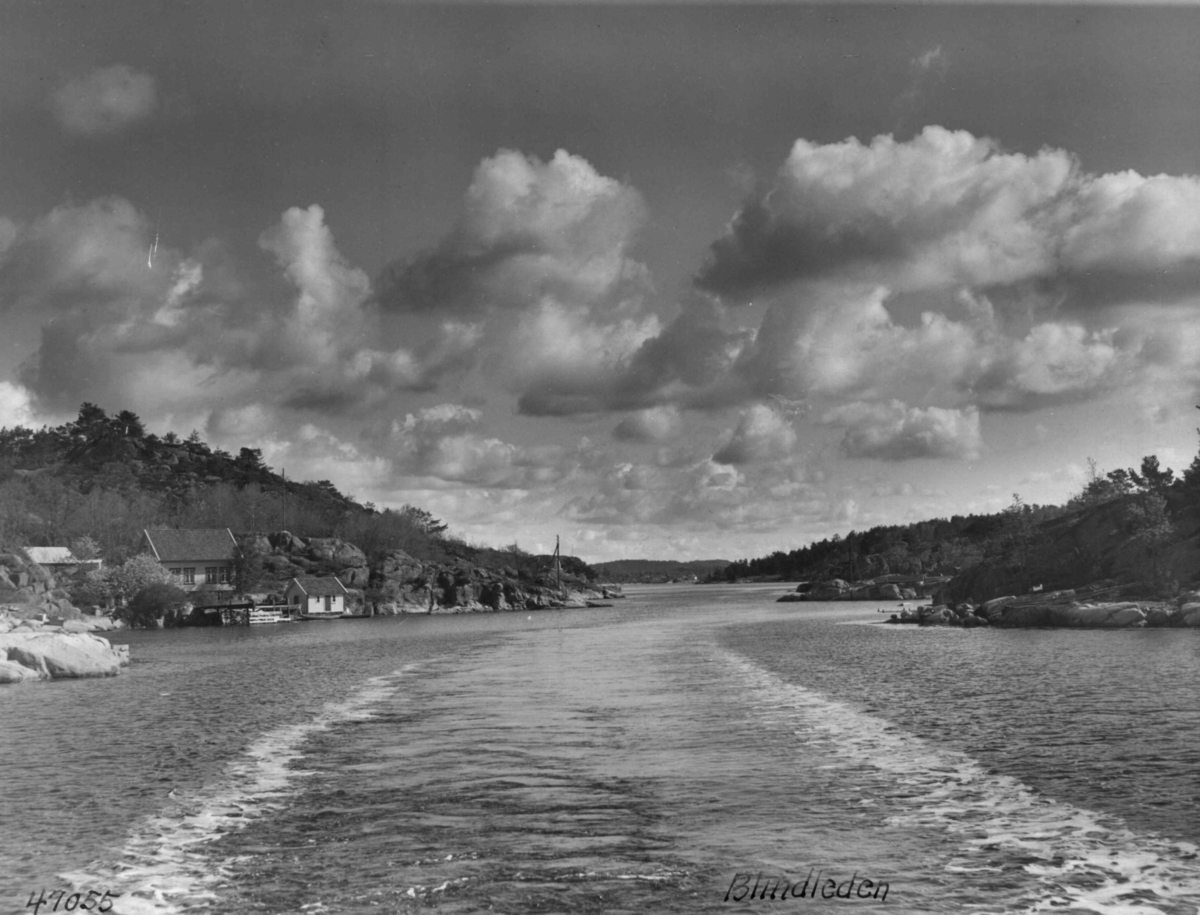 Anders Beer Wilse, Blindleia, Krossen