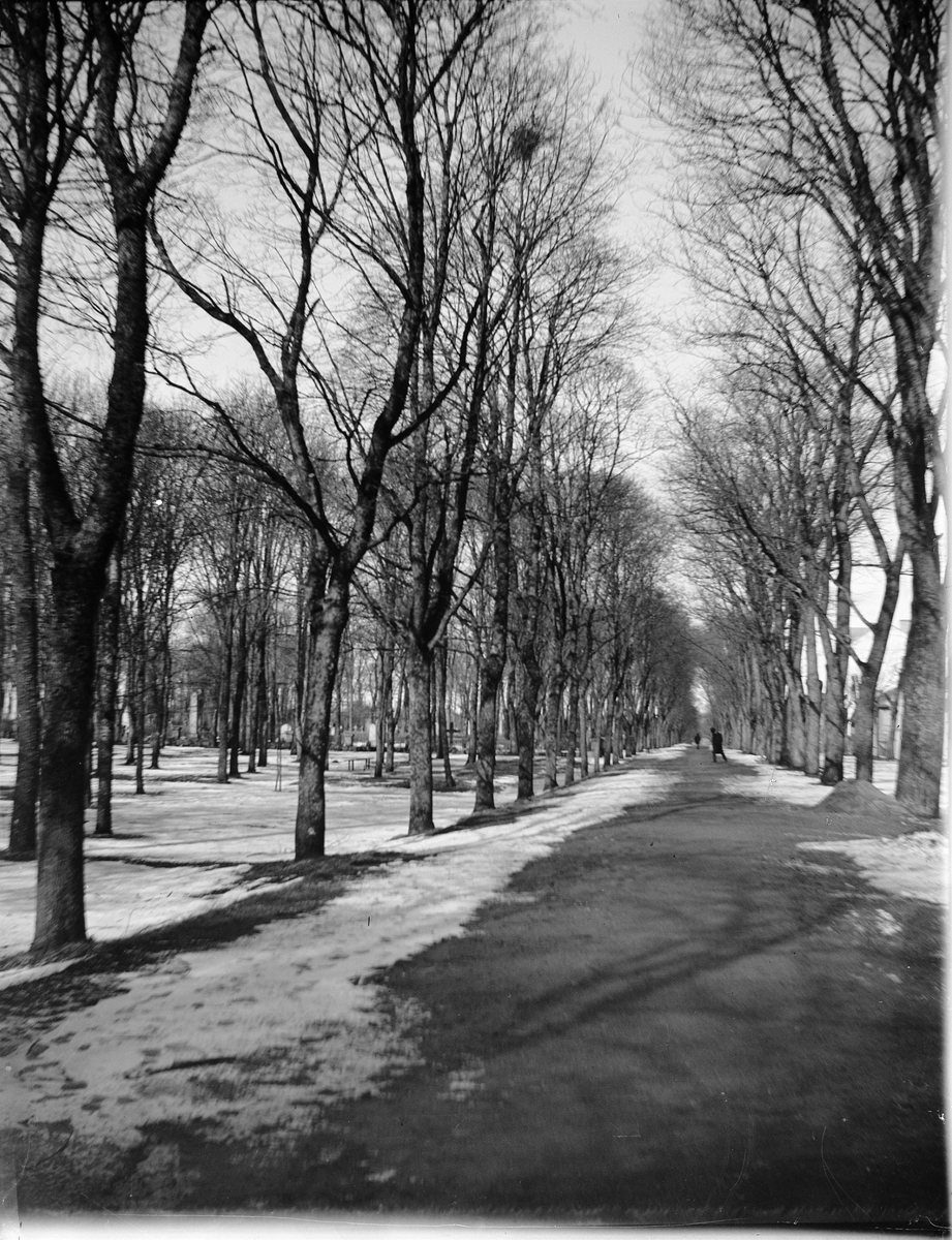 Carl Liljefors, Kyrkogårdsgatan med kyrkogården till vänster, Uppsala
