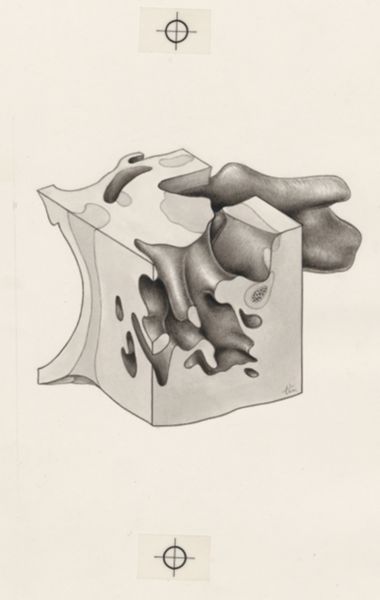 J Tinkelenberg, Part of the heart and circulatory system