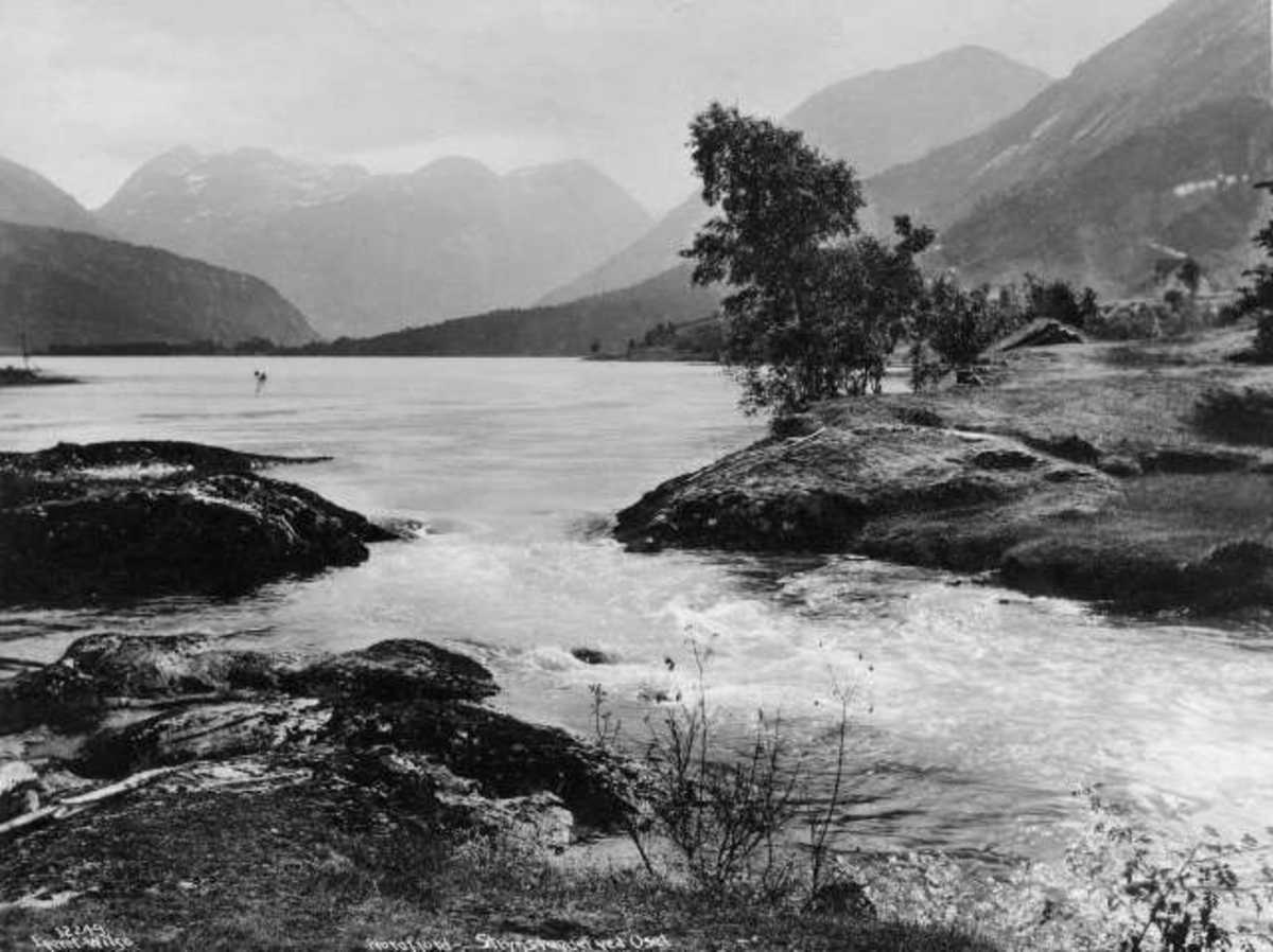 Anders Beer Wilse, -6701