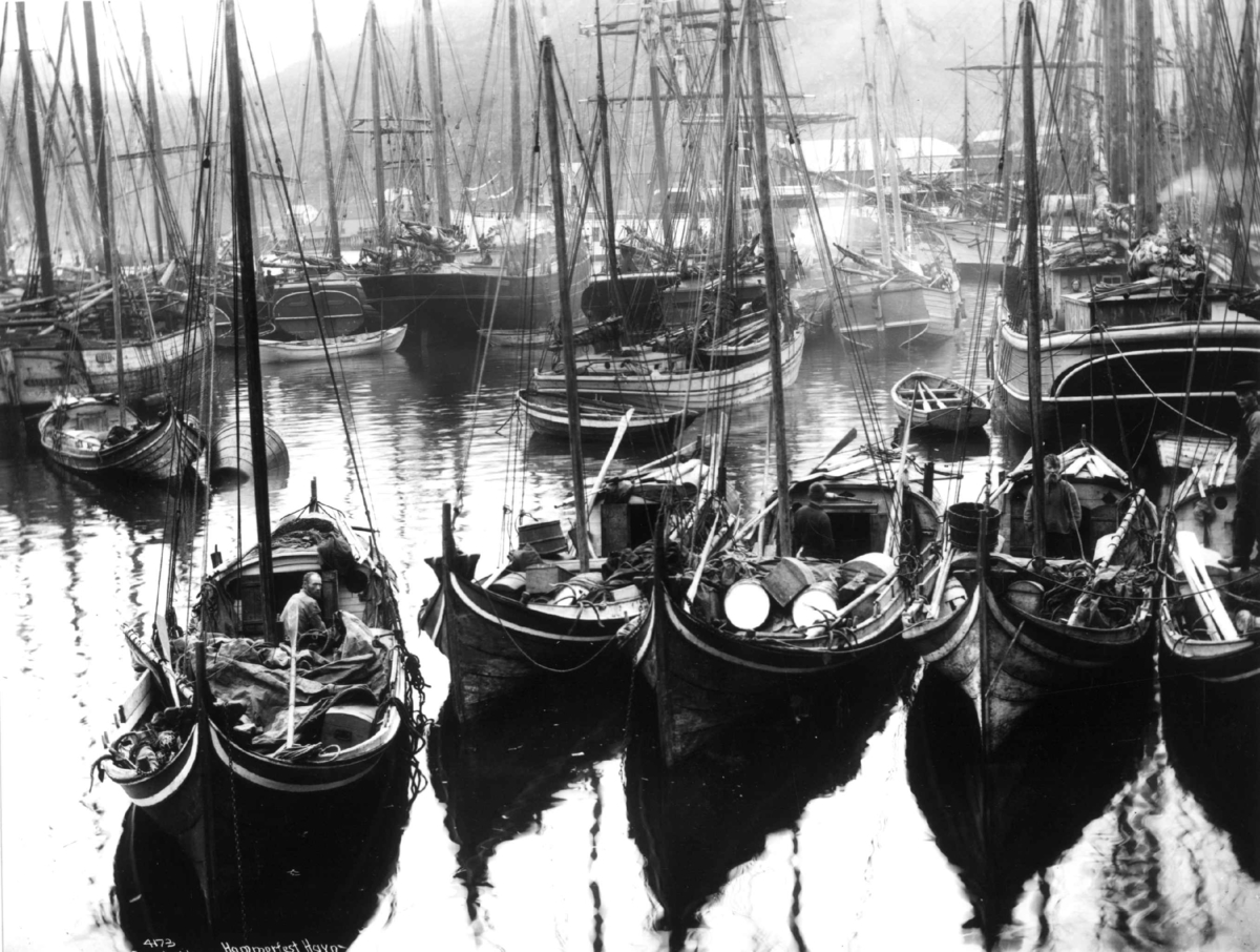 Anders Beer Wilse, Fembøringer