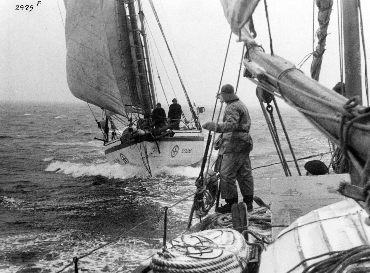 Anders Beer Wilse, Redningsskoyter