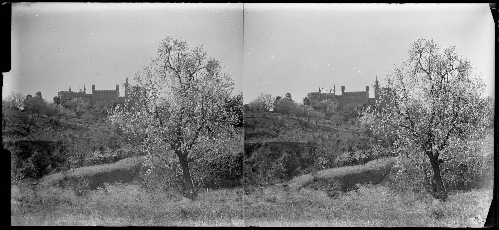 Desconegut, [Castell de l'Oreneta]