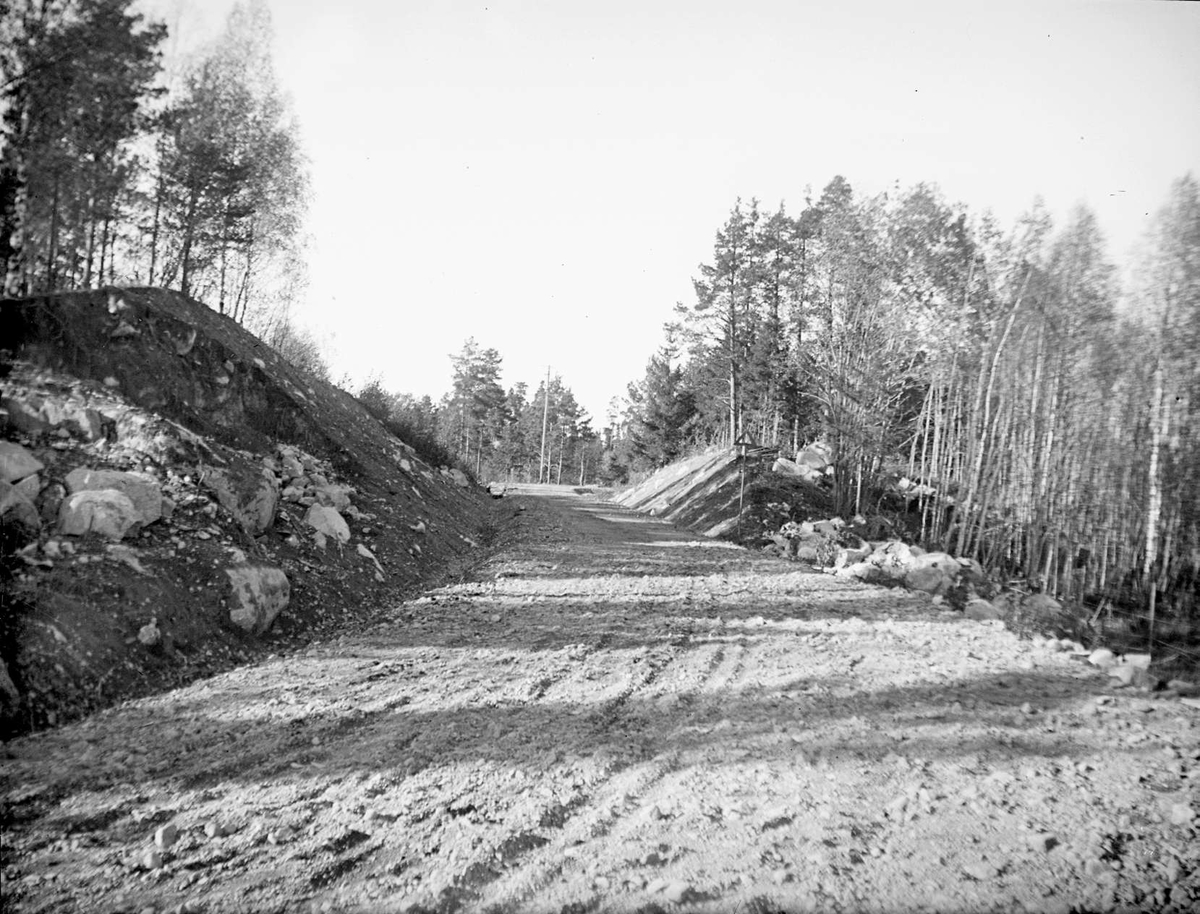 August Fredrik Schagerström, Väg vid Molnebo i Västerlövsta socken, Uppland i oktober 1920