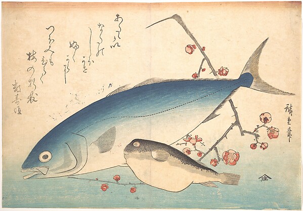 Utagawa Hiroshige, Fugu and Inada Fish, from the series Uozukushi (Every Variety of Fish)