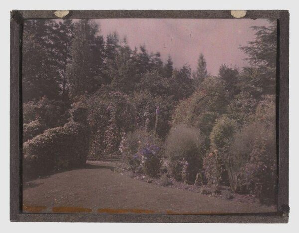 Unknown, Garden study