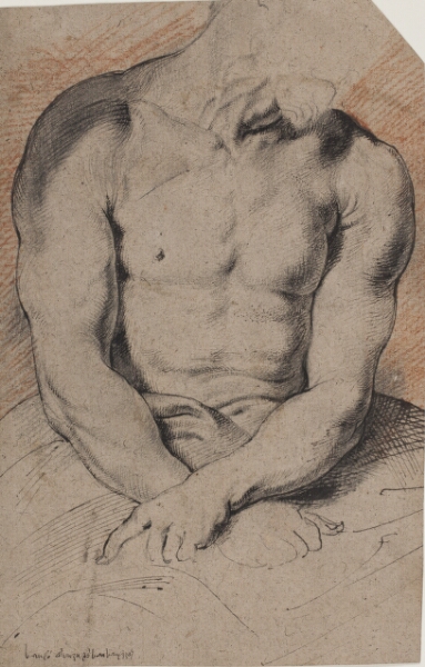 Willem Panneels, Kristi torso fra "Den tornekronede Kristus", efter Van Dyck