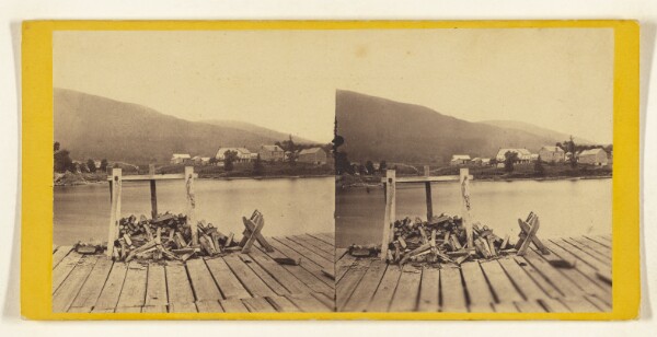 Edward and Henry T. Anthony & Co., Looking West from the Dock. [Lake George, N.Y.]