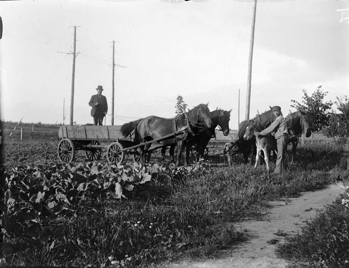 Carl Liljefors, Men, horses and carriages, probably Gunsta farm, Funbo parish, Uppland