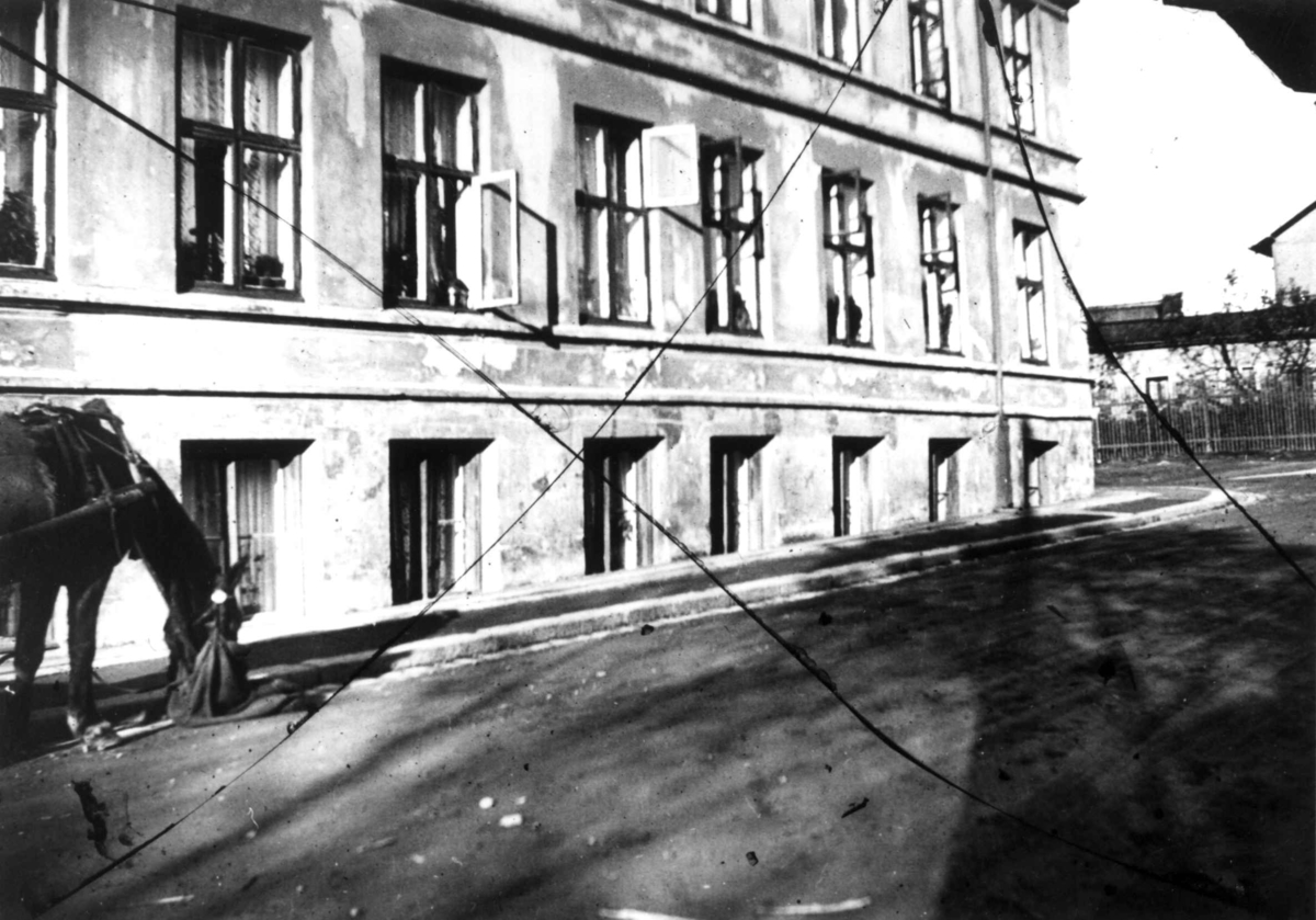 Nanna Broch, Bygård, Oslo. I forgrunnen hest med mulepose. Fra boliginspektør Nanna Brochs boligundersøkelser i Oslo 1920-årene.