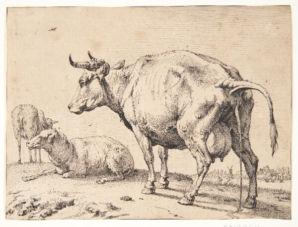 Paulus Potter, En pissende ko
