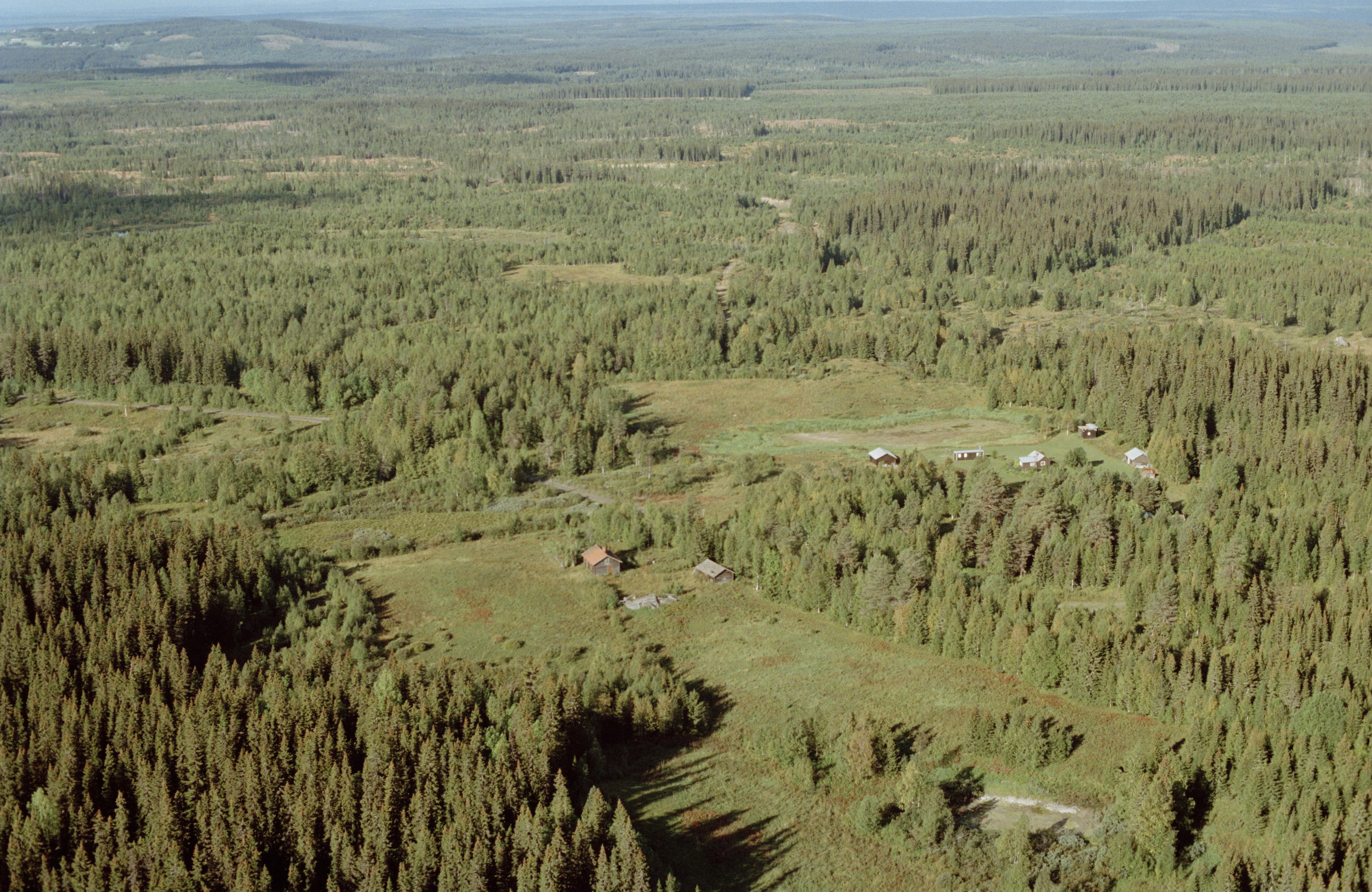 Jan Norrman, Häggenås 19:1