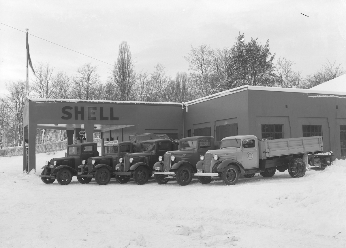 Christian Grundseth, Ole Olsen eksteriør. Shell bensinstasjon i Furnesvegen i Hamar. Chevrolet lastebiler fra Olsens Transport; Hamar. Reg. nr. D-4087, D-2329, D-4268 (1934-35 modell) D-684 (1936 modell) D-4229 (1937 modell). D-4087 og D-2329 er Chevrolet 1933 modeller. 39568