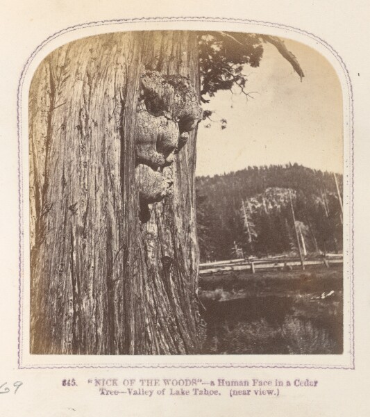Thomas Houseworth, Nick of the Woods