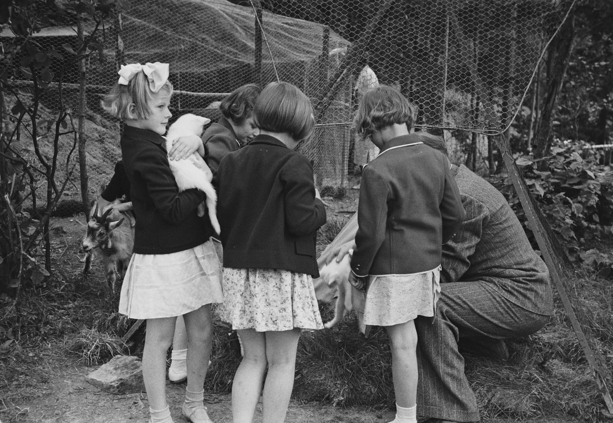 Anders Beer Wilse, Prot: Gjersjöviken