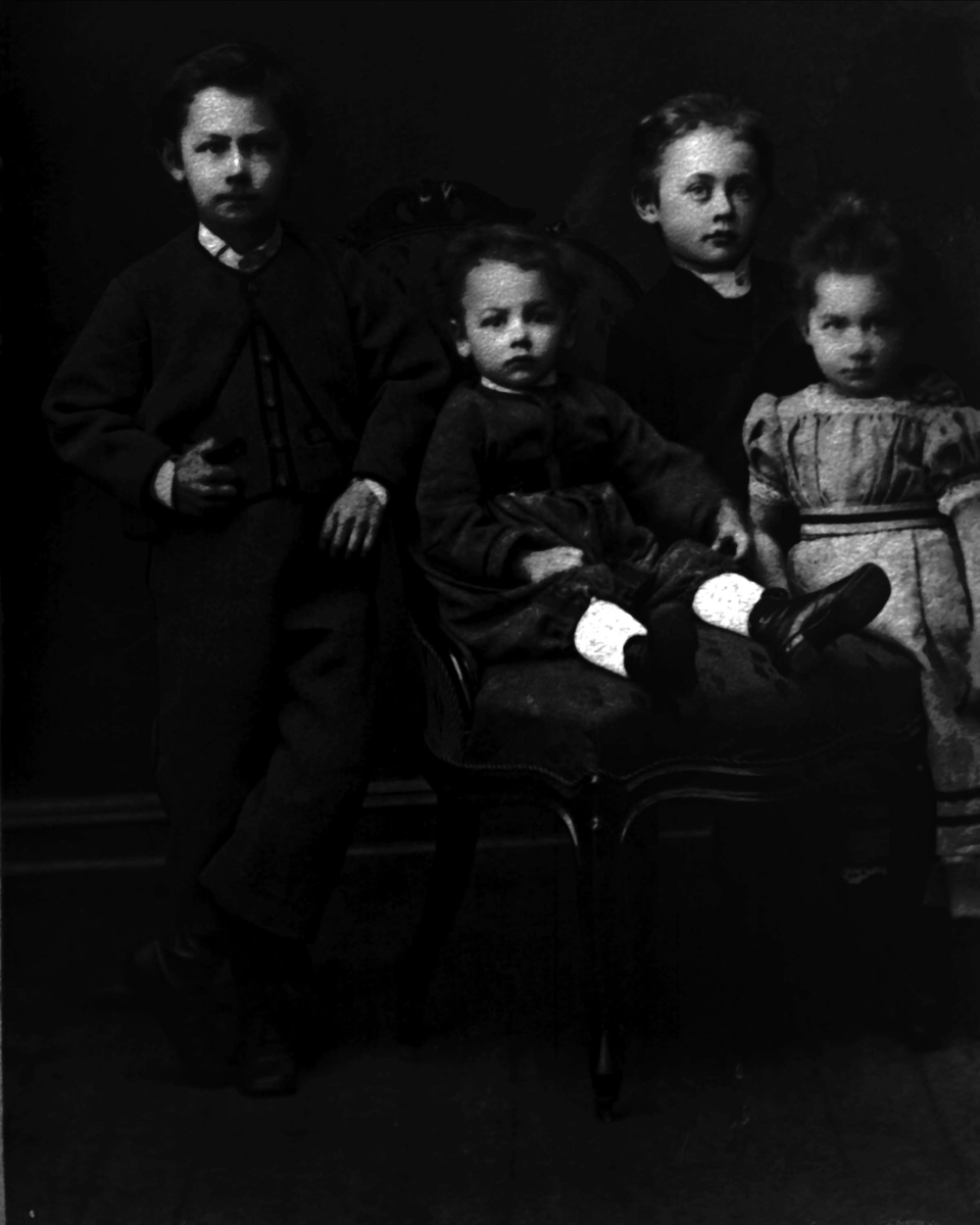 Gustav Borgen, Avfotografering.