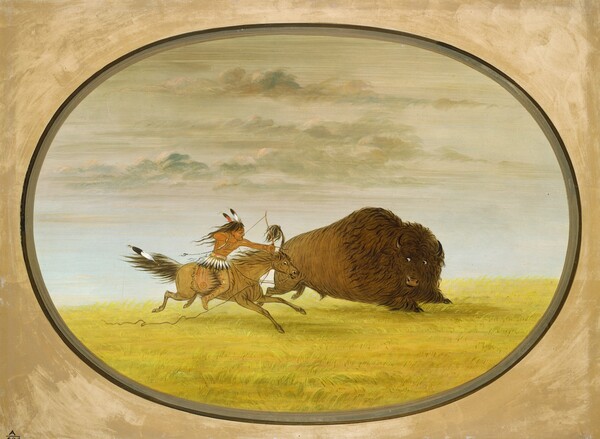 George Catlin, Buffalo Chase