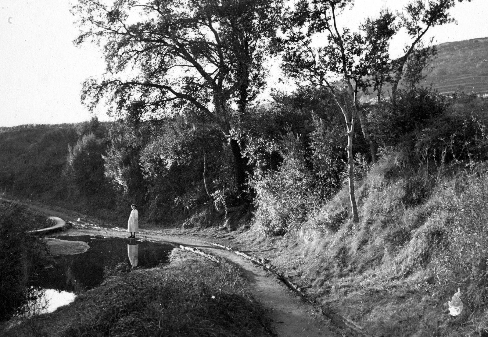 Desconegut, [San Daniel Valley]