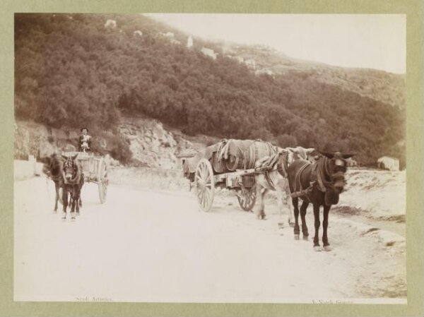 Unknown, Photograph